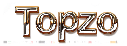 topzo logo